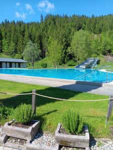 Bassein majutusasutuses Pension & Apartments Weissbriach või selle lähedal