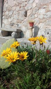 Zahrada ubytování Palacca, trullo salentino