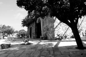 Fotografie z fotogalerie ubytování Palacca, trullo salentino v destinaci Andrano