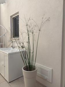 a large vase with a plant in a bathroom at Don Ninì in Sava +28 photos