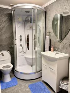 a bathroom with a shower and a toilet and a sink at Love Room in Baia Mare +20 photos