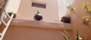 Fotografie z fotogalerie ubytování Rachid Local v destinaci Agadir