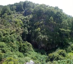 a large hill with trees on it at Mother Mary Inn in Sagada