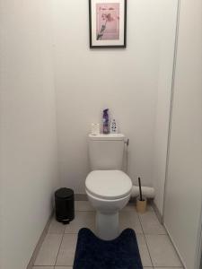 a bathroom with a white toilet and a blue rug at Perfect quiet getaway in Digoin +13 photos