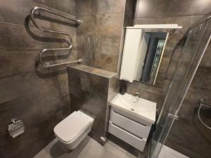 a bathroom with a toilet and a sink and a mirror at Soldino Apartments in Narva