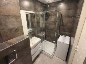 a bathroom with a shower and a toilet and a sink at Soldino Apartments in Narva