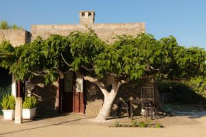 Fotografie z fotogalerie ubytování Palacca, trullo salentino v destinaci Andrano