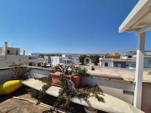 a balcony with potted plants on a roof at CasAMiCa in Torre Canne