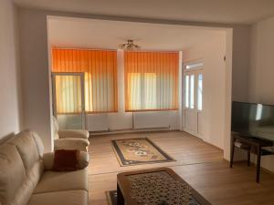 a living room with a couch and a television at Casa Ani in Ocna-Mureşului
