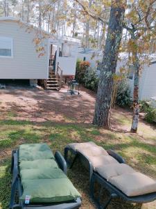 a couple of beds sitting in a yard next to a tree at MH 556 - Océan Landes in Saint-Julien-en-Born