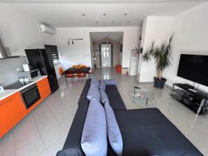 a large living room with a couch and a tv at Holiday home Lucas with pool in Buzdohanj