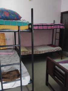 a group of bunk beds in a room at Villa Butterfly Studio in Pondicherry