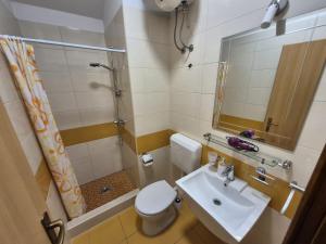 a bathroom with a toilet and a sink and a shower at Stone house Pietro in Pakoštane +42 photos