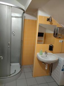 ein Badezimmer mit Waschbecken und Dusche in der Unterkunft Levné a útulné prostředí in Řepiště