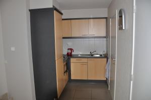 Küche/Küchenzeile in der Unterkunft Apartment Franky