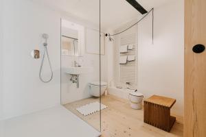a bathroom with a shower and a toilet and a sink at Haidl-Madl Ferien und Wohnen in Haidmühle +25 photos