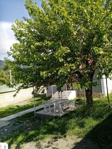 Zahrada ubytování All Star Gabala