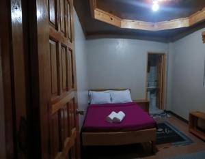 a bedroom with a bed with purple sheets and a door at Mother Mary Inn in Sagada