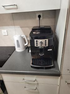 a coffee maker sitting on a counter in a kitchen at Le regard sur le lac in Saint-Gingolph