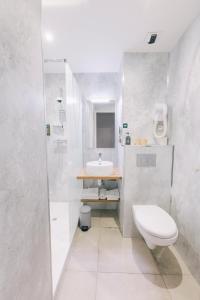 Logis Hôtel la Grassinais Saint-Malo的一间浴室