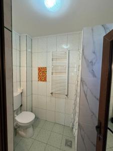 a white bathroom with a toilet and a shower at Vila Matei in Techirghiol