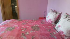 ein Bett mit einer rosa Bettdecke und 2 Kissen in der Unterkunft Residence Venus Garden in Brissago