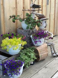 Сад в Gruszkowka Domek Letniskowy