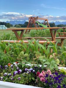 Сад в Gruszkowka Domek Letniskowy