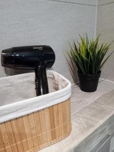 a black hair dryer sitting on a counter next to two plants at Apartament Bażantów in Katowice