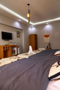 开罗Guest rest view INN的一间卧室，配有两张床和一台平板电视