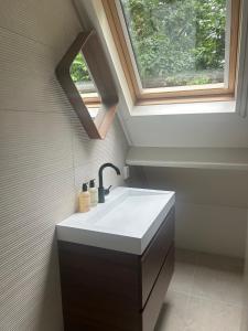 a bathroom with a sink and a window at Forest house with sauna in Norg +11 photos