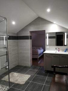 ein Badezimmer mit Dusche und Waschbecken und ein Bett in der Unterkunft Le gîte des Aubèles in Saint-Félix-de-Lunel