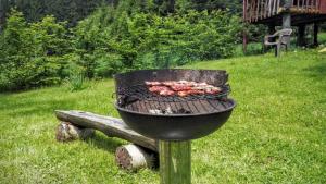 a grill with meat cooking on it in a yard at Chata Pod Koberštejnem in Rejvíz