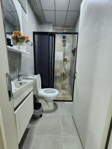 a bathroom with a shower and a toilet and a sink at Q Apart in Eskisehir