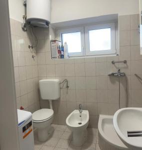 a bathroom with a toilet and a sink at Suzy apartment, Dugi Rat in Dugi Rat