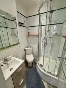 a bathroom with a shower and a toilet and a sink at petit nid au coeur du Vieux Lyon in Lyon