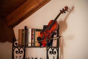 a violin is on a shelf with books at Rodino gnijezdo guesthouse in Brodski Varoš