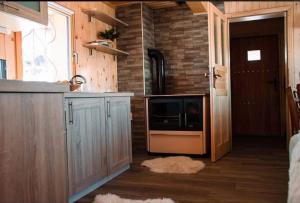 a kitchen with a sink and a microwave in it at Koča Velika Planina - Chalet Kamrica in Stahovica