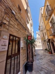 a building with a door and a plant in front of it at Tina's House in Barletta