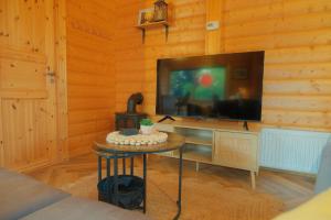 a living room with a flat screen tv in a cabin at Countryside Log Cabin in Luton