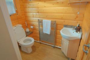 a wooden bathroom with a toilet and a sink at Countryside Log Cabin in Luton +17 photos