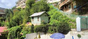 Una pequeña casa y una sombrilla al lado de un edificio. en Hotel Alfa Manali, en Manali 12 fotos más