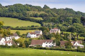 a village with a herd of sheep in a field at The Masons Arms in Branscombe