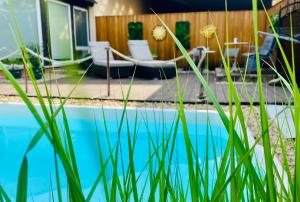 a house with a swimming pool with grass at Restaurant und Pension Zur Puppenstube in Stolpen