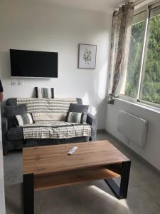 a living room with a couch and a coffee table at appt 10 couchages tt confort appt 3 in Laveissière