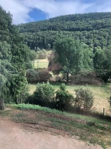 a view of a field with trees and a dirt road at appt 10 couchages tt confort appt 3 in Laveissière