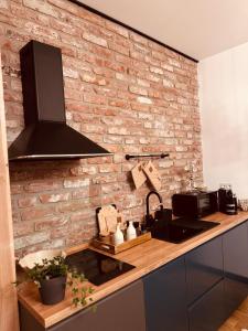 a kitchen with a brick wall and a sink at Vila Ferdinand Spa and Retreat in Sinaia