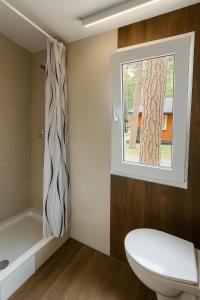 a bathroom with a toilet and a window at Kemp Srdíčko in Doksy