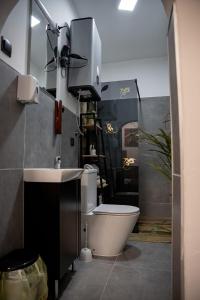a bathroom with a sink and a toilet in it at Studio '98 Apartments broj 31 in Sisak