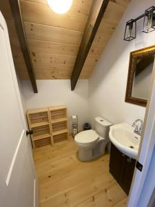 ein Badezimmer mit Toilette und Waschbecken in der Unterkunft Chalet au coeur des montagnes in LʼAnse-Saint-Jean